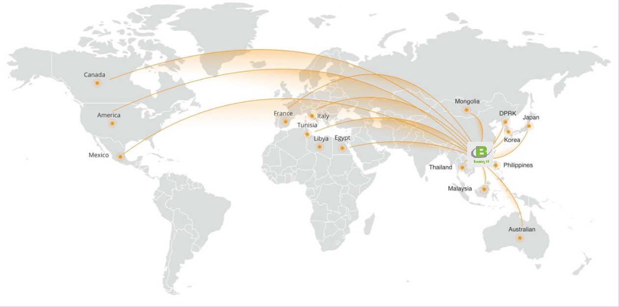 Sales Network -  - 1